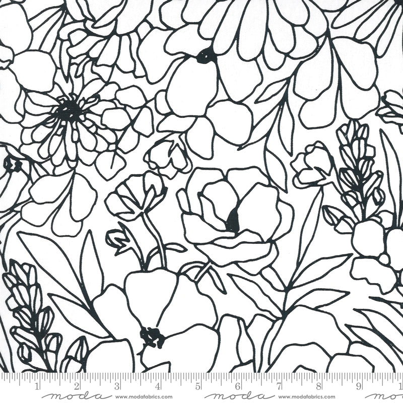 Illustrations- Floral Sketch Canvas in Paper