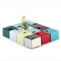 Air Plant Cube Holder - Assorted Colors